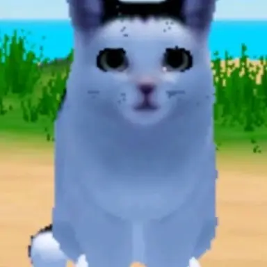 Profile image of 잃어버린 고양이