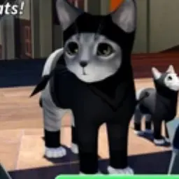 Profile image of 닌자 고양이