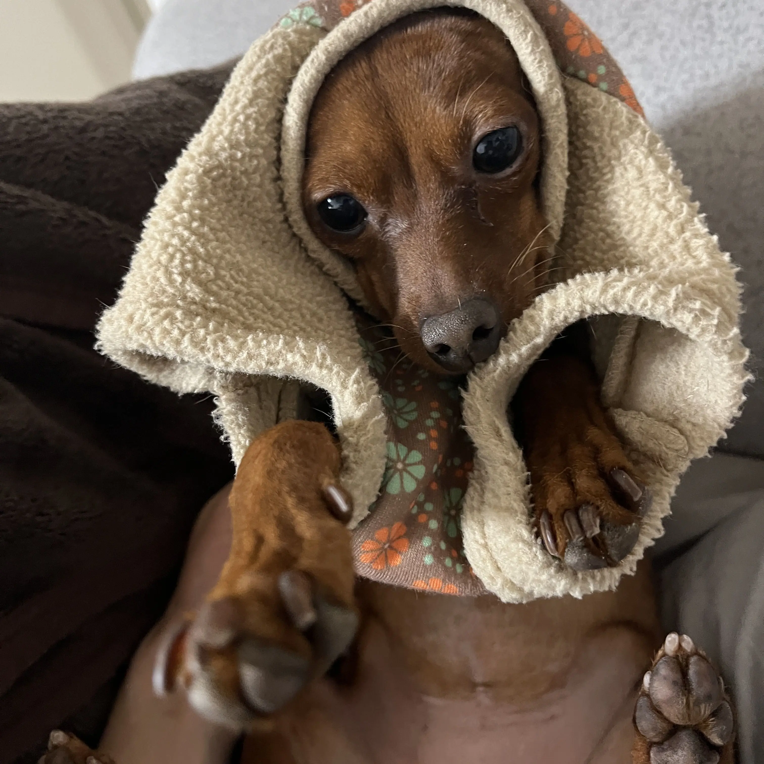 KindAwake9463의 夏