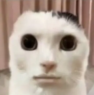 Profile image of 펄