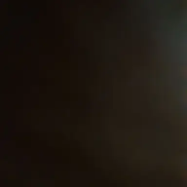 Profile image of 당신