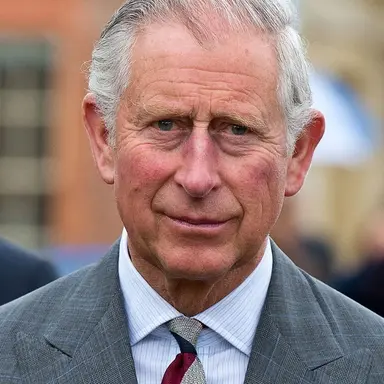 Profile image of King Charles