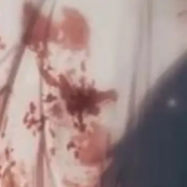 Profile image of Sharon