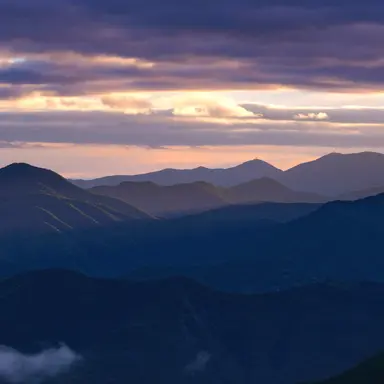 Profile image of 뜰팁 인형