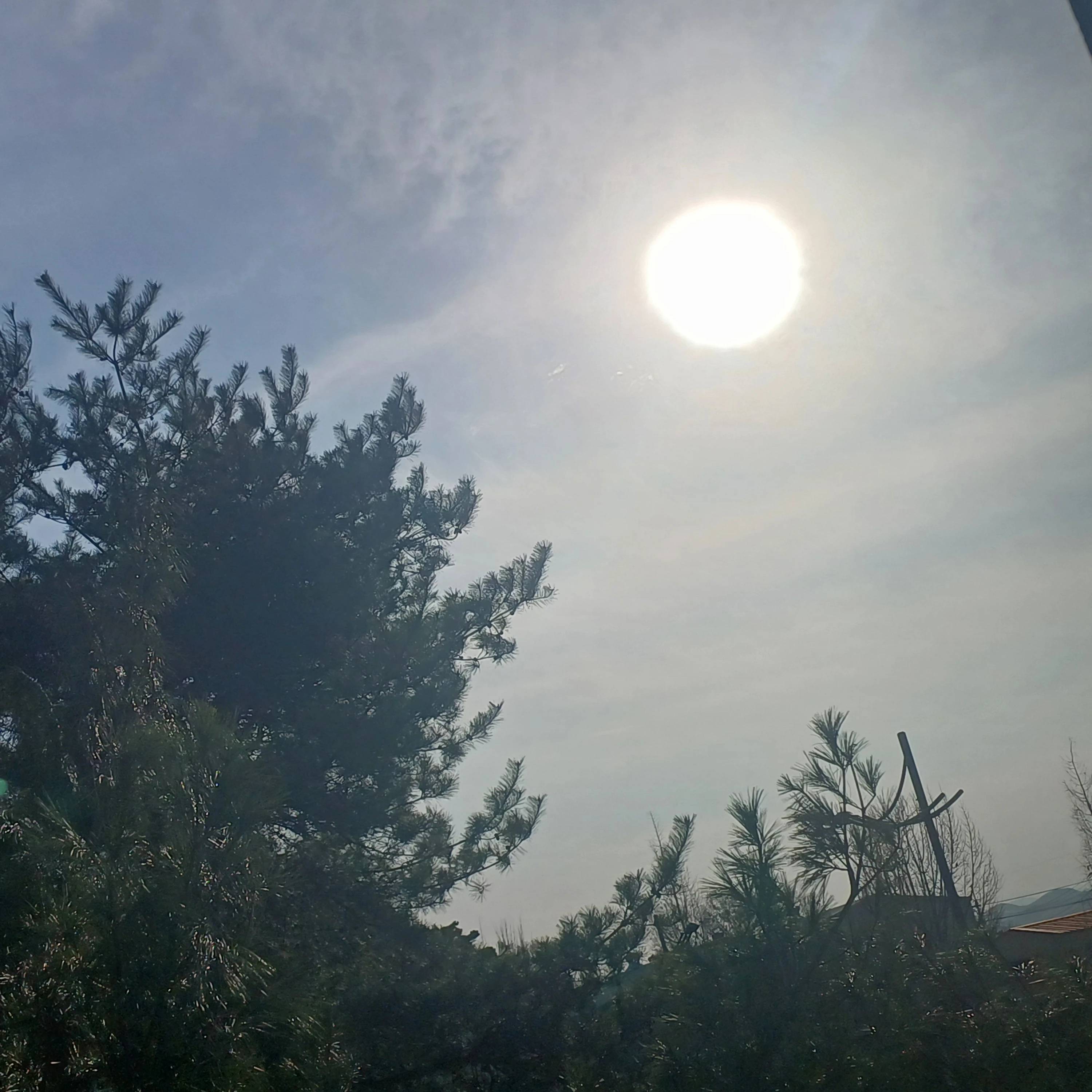 강☆태☆현☆