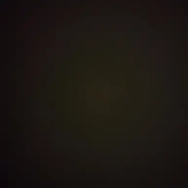 Profile image of 리코