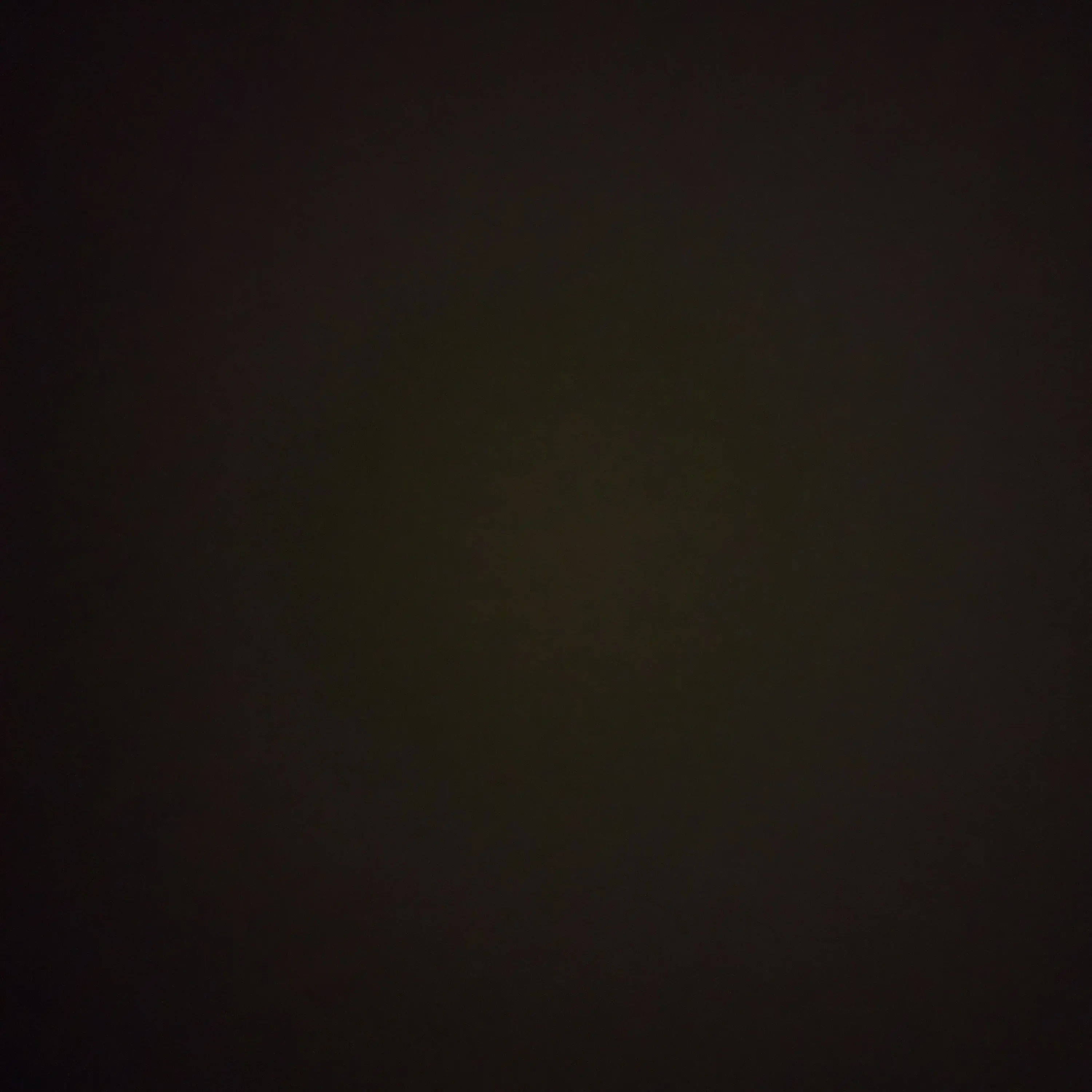 galegaralan1008의 스텔라이브의 크리스마수