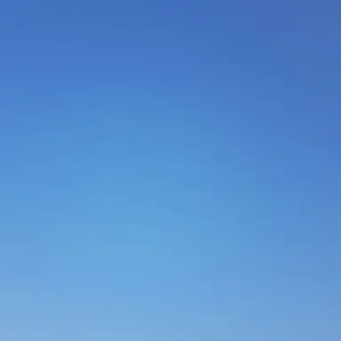 Profile image of 행크