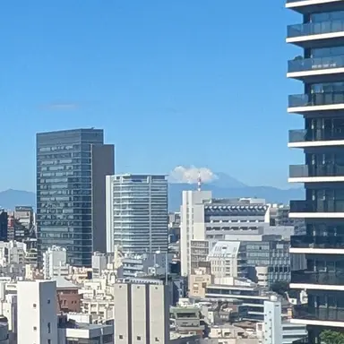 Profile image of Suzuki