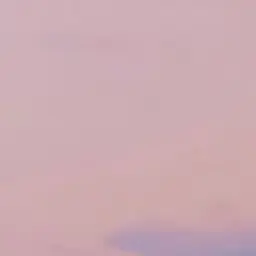 BonnekdoSeventeenDeshik의 전진우 동생 되기