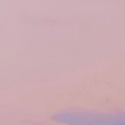 전진우