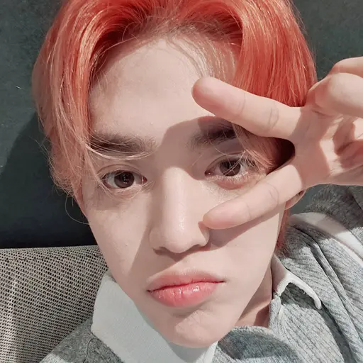 Carat0525의 최승철