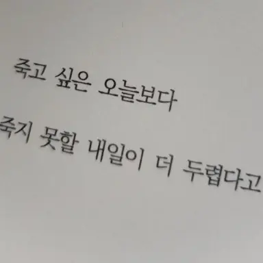 Profile image of 히스클리프