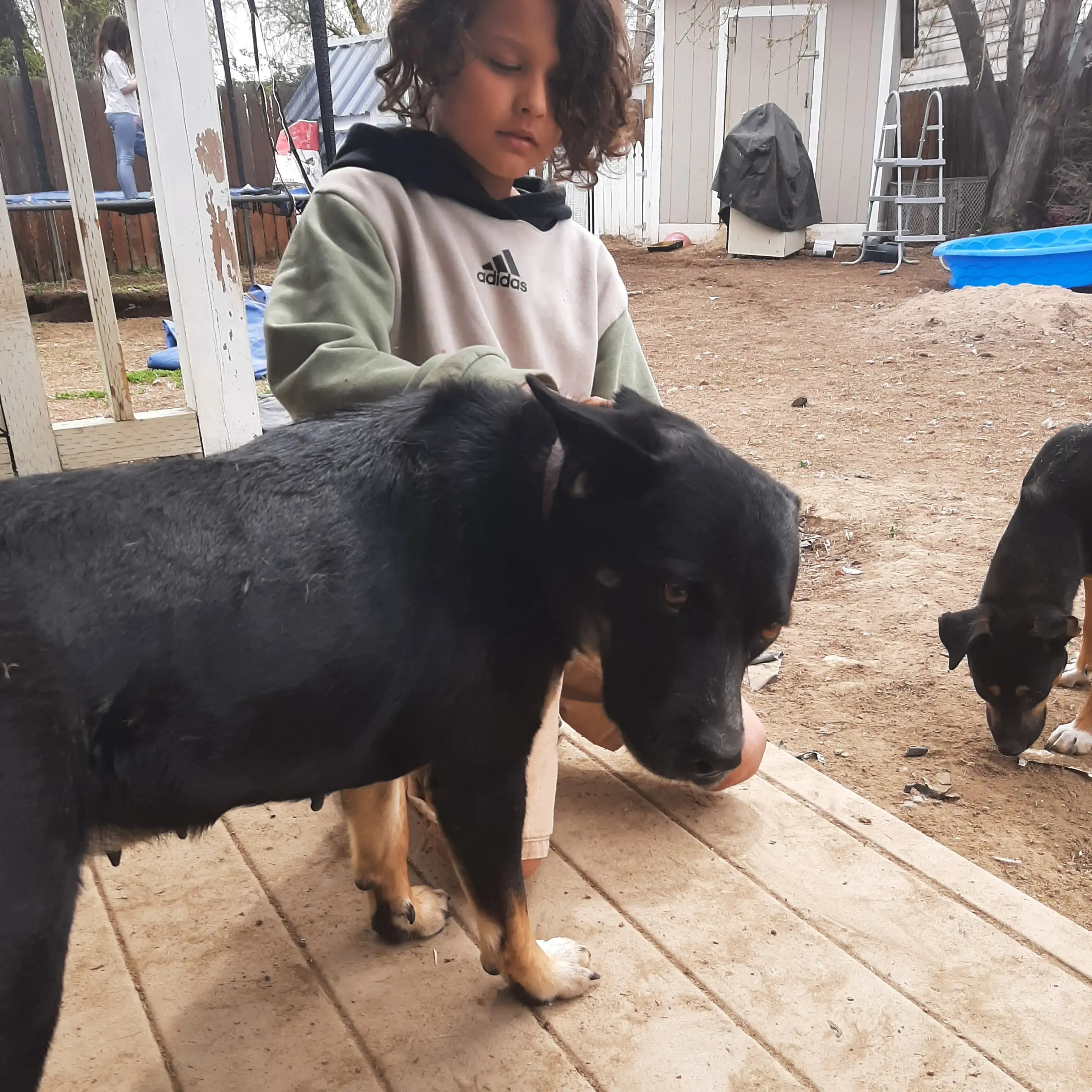 StingyTired6467의 Desert Highway Escape