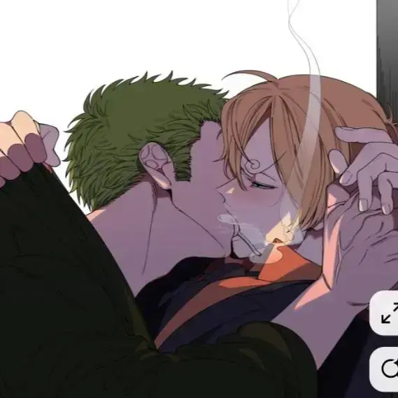 PickyMeter0195의 Zoro x Sanji