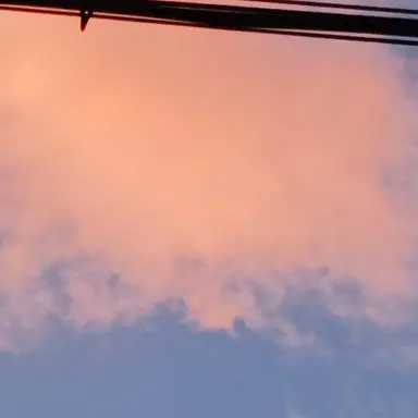 Profile image of 꽥