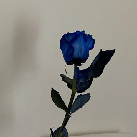 호시나 소우시로