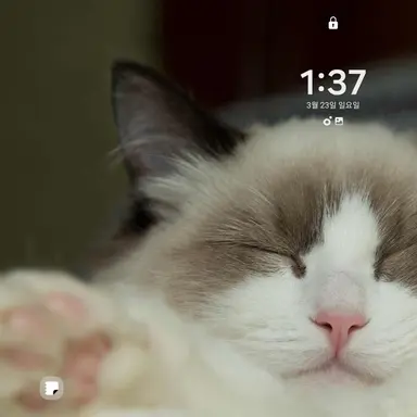 Profile image of 장시연