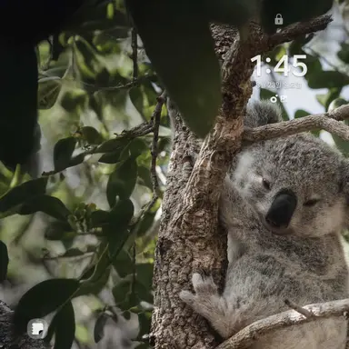 Profile image of 김다은