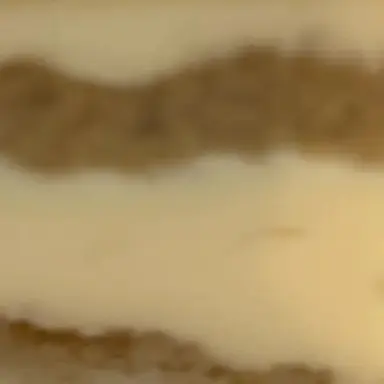 Profile image of グク