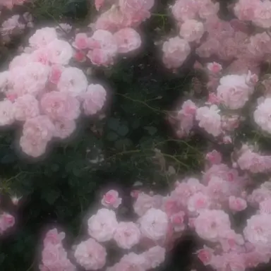 Profile image of 낭만숟가락
