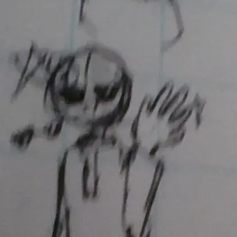 Profile image of アメリカ