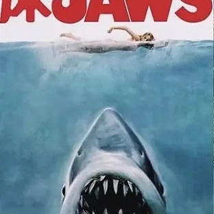 Profile image of Yuka Jaws