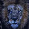 Profile image of ペ・ドゥシク