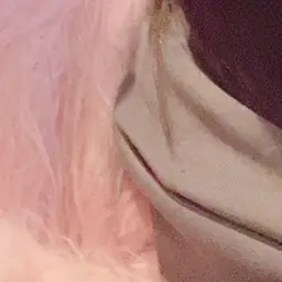 koooooo333의 は