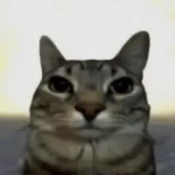 Profile image of 강아지