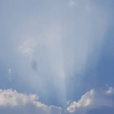 Profile image of 전석오