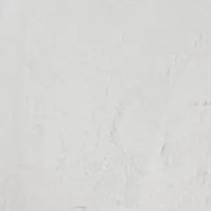 Profile image of 日本