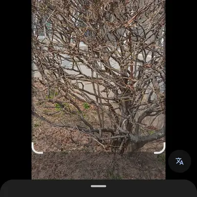 Profile image of 건우