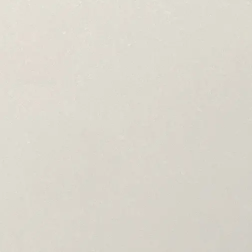 Sjjdj의 친구