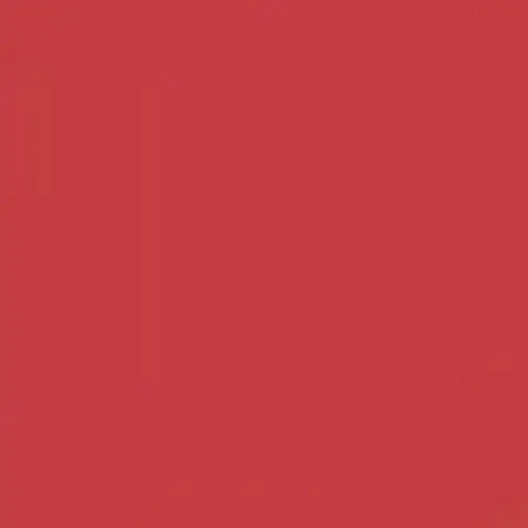 WindyEel6783의 なまもの