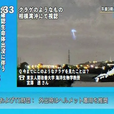 Profile image of クラゲ