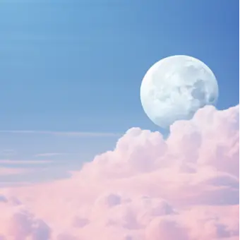 Profile image of 텔러