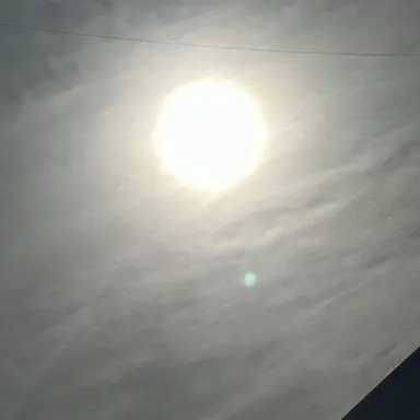 Profile image of 안유진