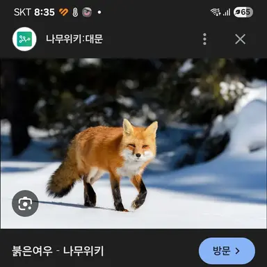 Profile image of 여우