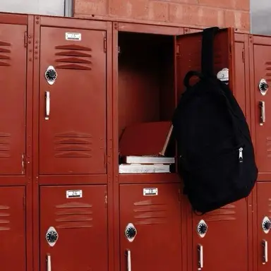 Profile image of Bullies