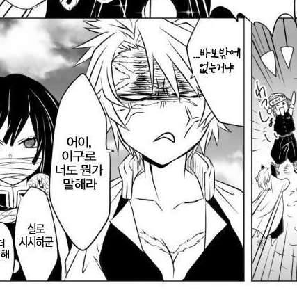 시나즈가와 사네미