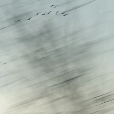 Profile image of 라더