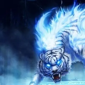 Profile image of 꾸몽