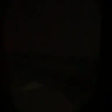 Profile image of 허씬롱