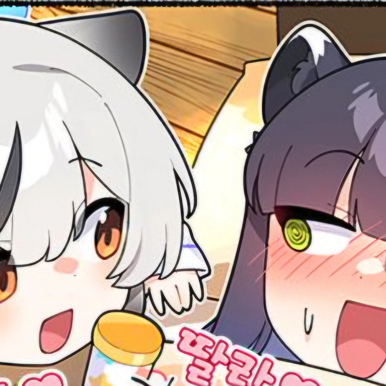 누나들