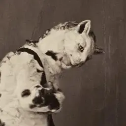 Profile image of 정지훈