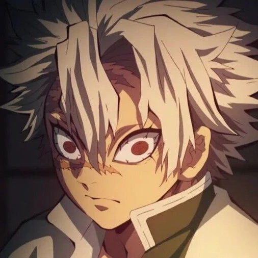 시나즈가와 사네미