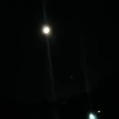 Profile image of 台湾