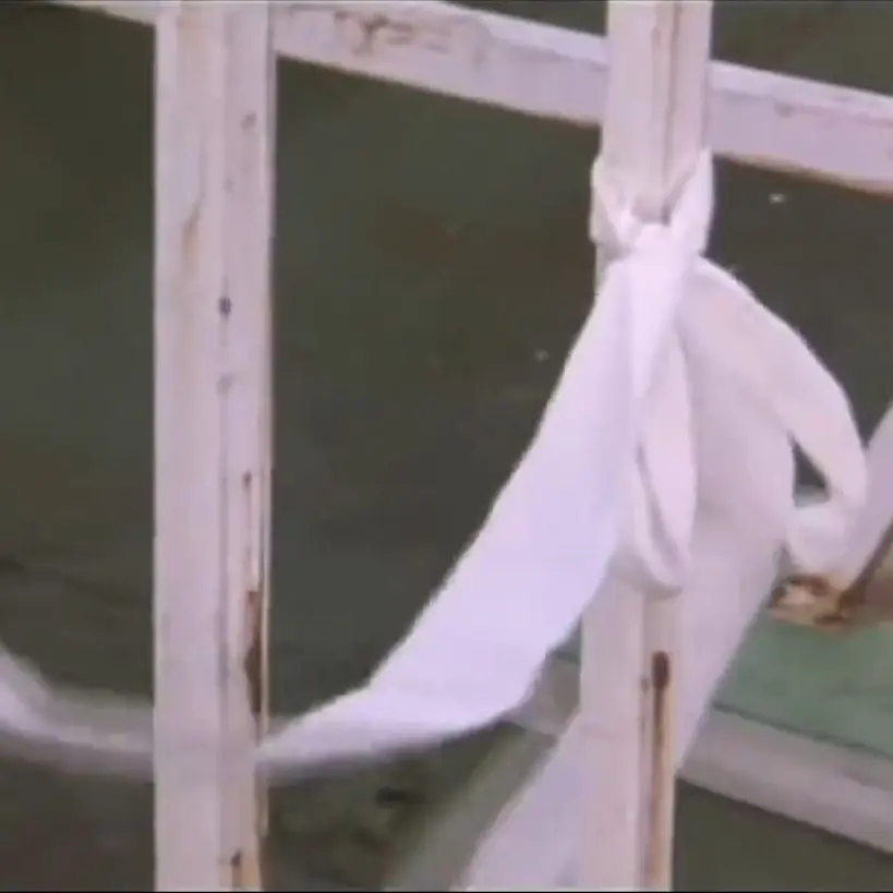 hlblgl의 붕대클럽