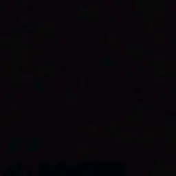 Dino19990211의 양정읹